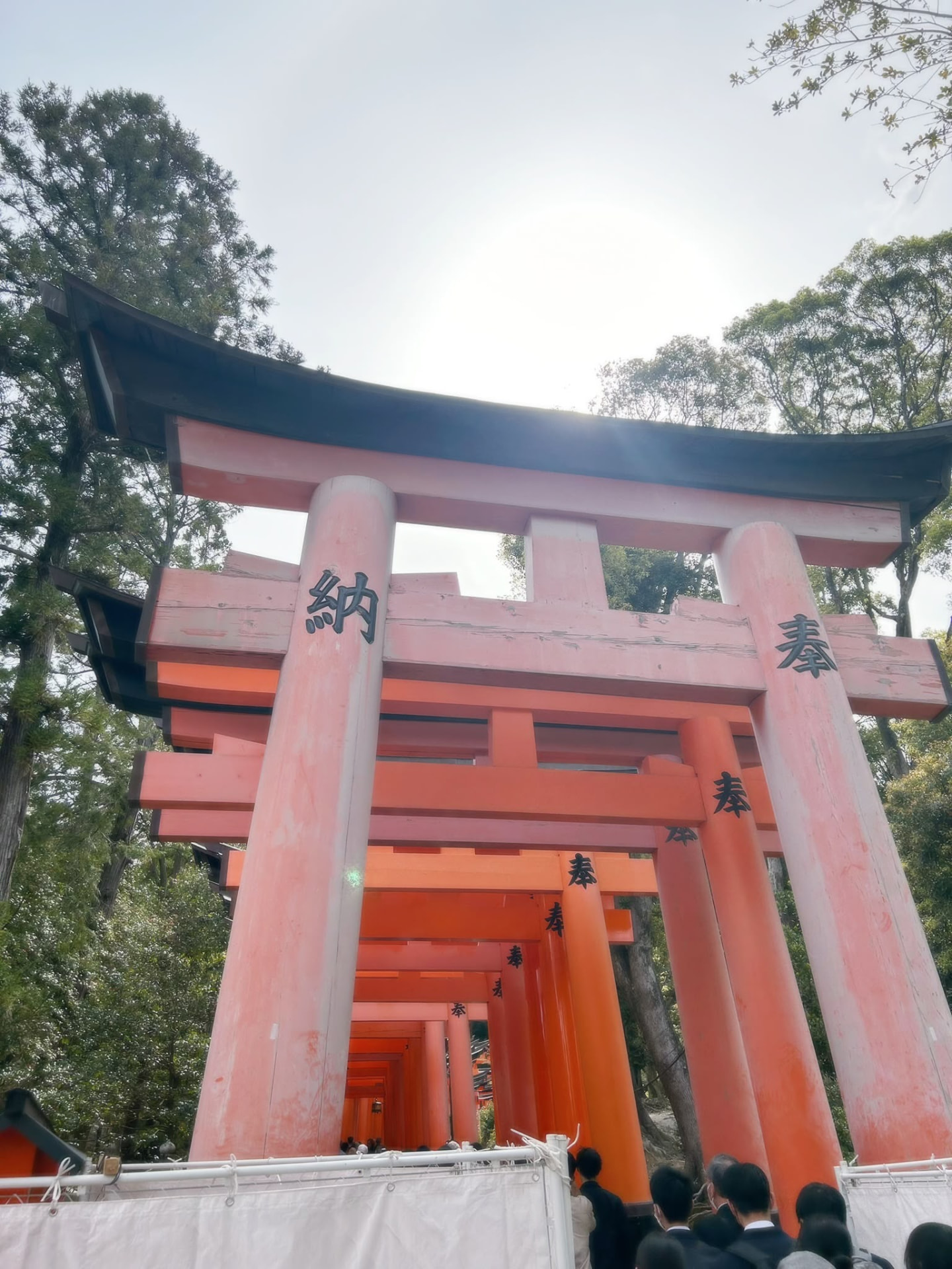 Japón